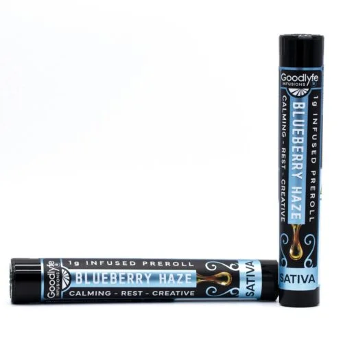Blueberry Haze Infused 1g Preroll - Sativa | Goodlyfe