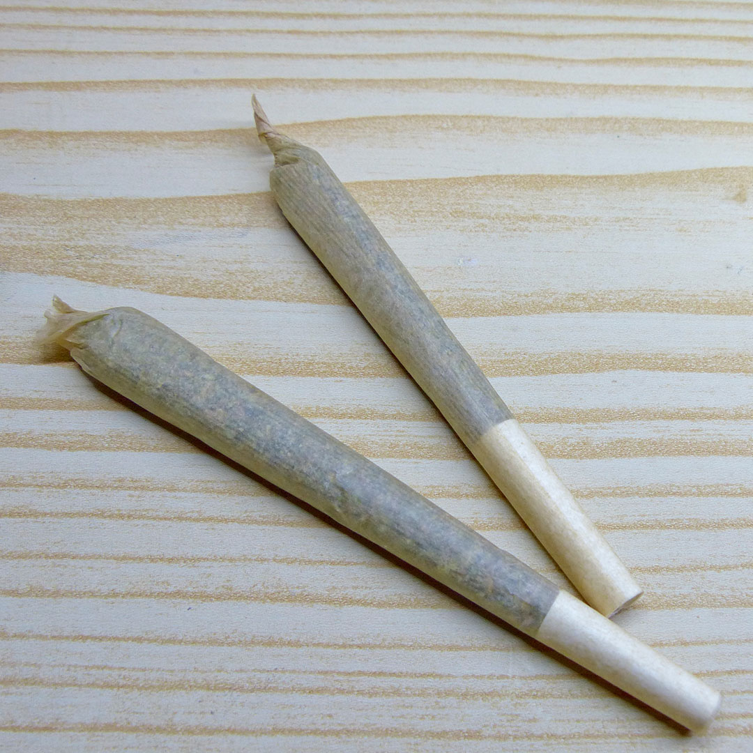 everything you need to know about pre rolls blog october 2023